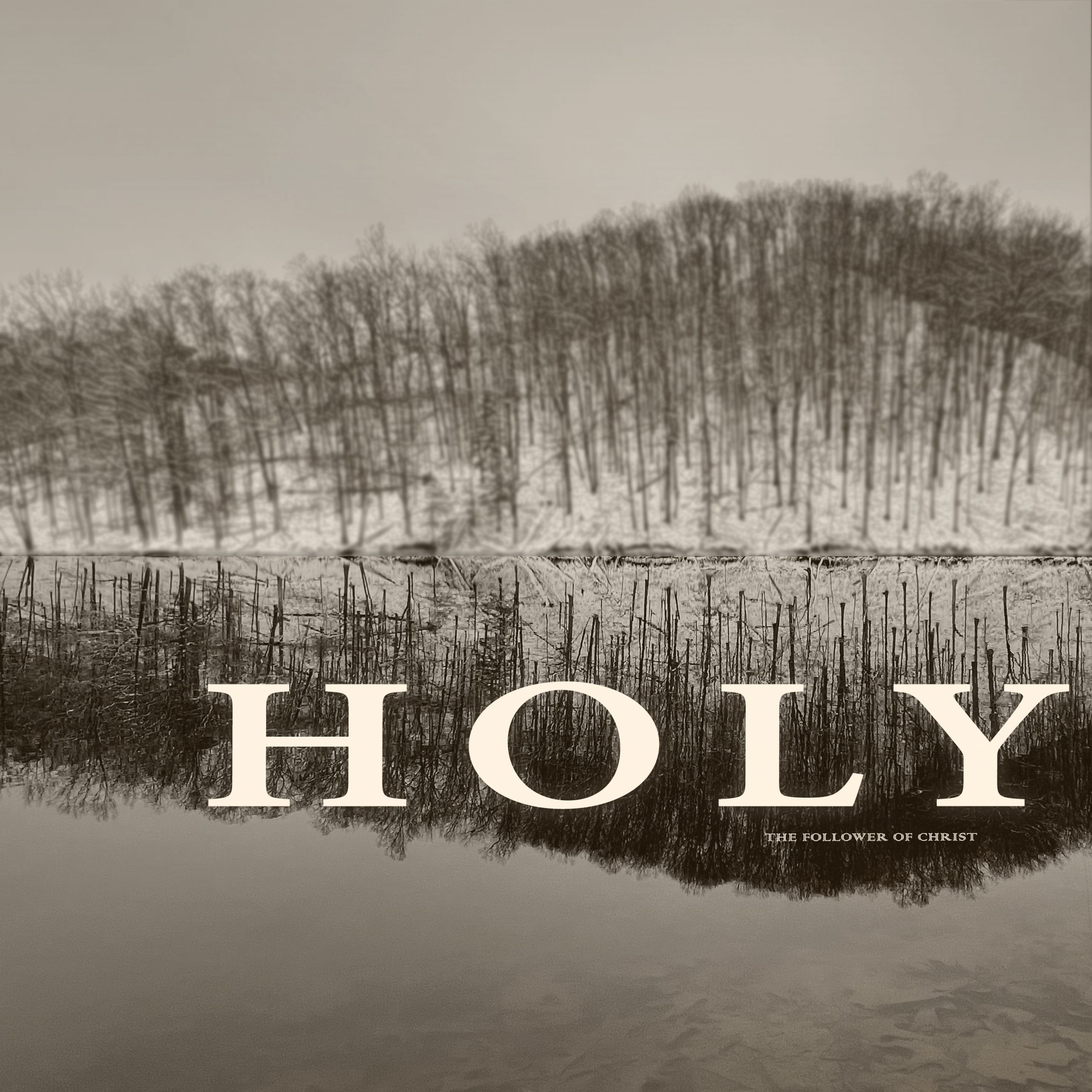 Cover art for the song "HOLY" by The Follower of Christ.