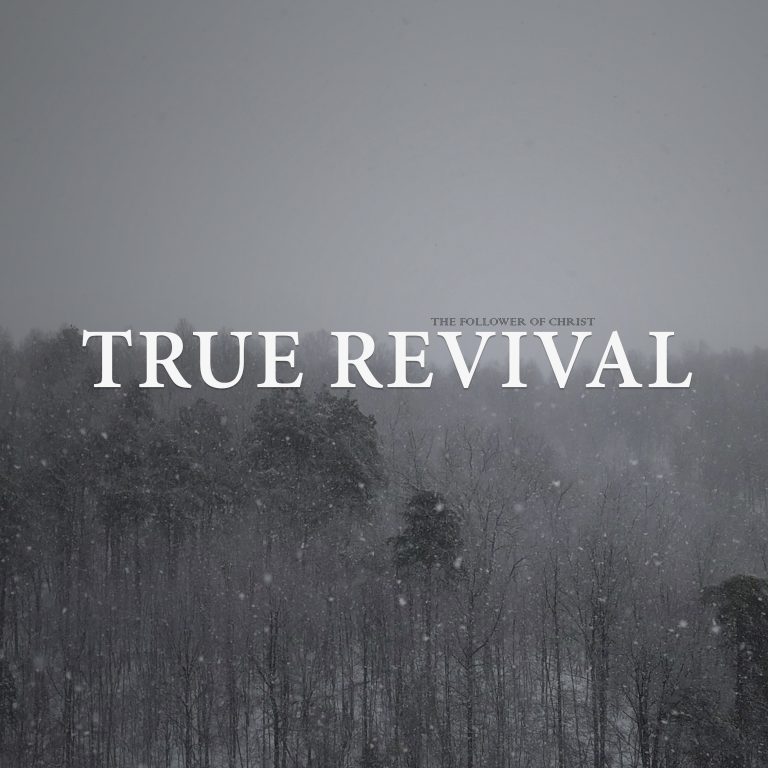 Cover art for the song "True Revival" by The Follower of Christ.