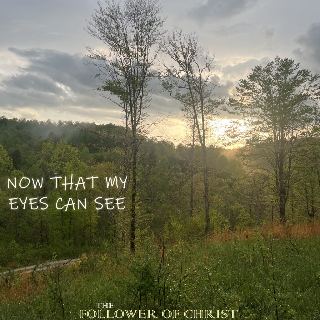 Now That My Eyes Can See (Acoustic Album)