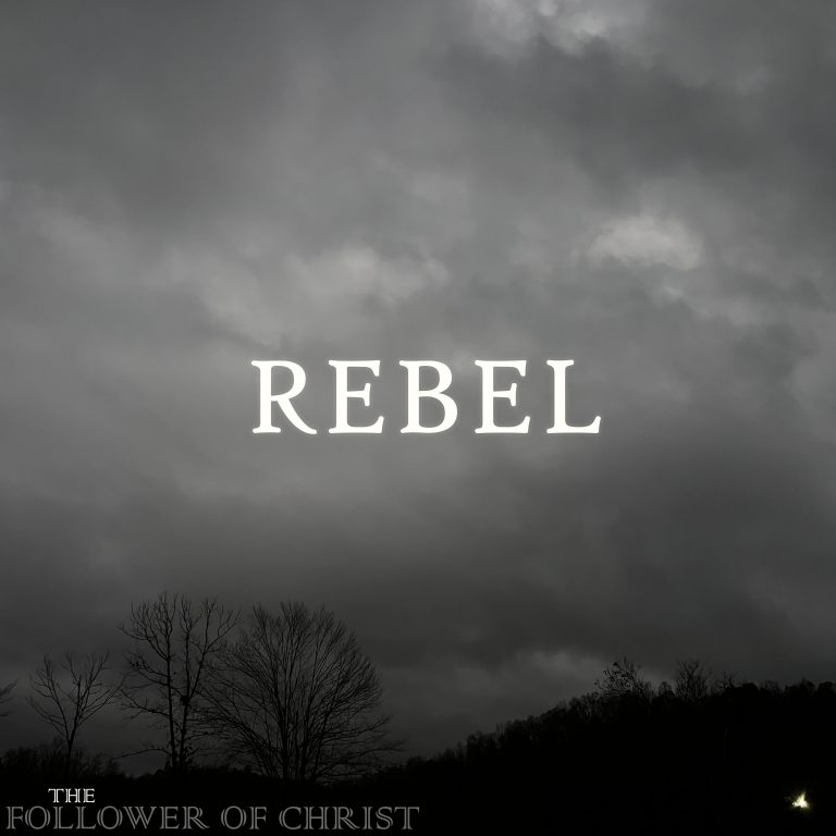 Cover art for the album "Rebel" by The Follower of Christ.